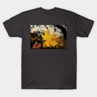Hand holding golden yellow maple leaf T-Shirt
